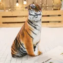 F70Cm