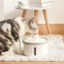 Drinking Fountain