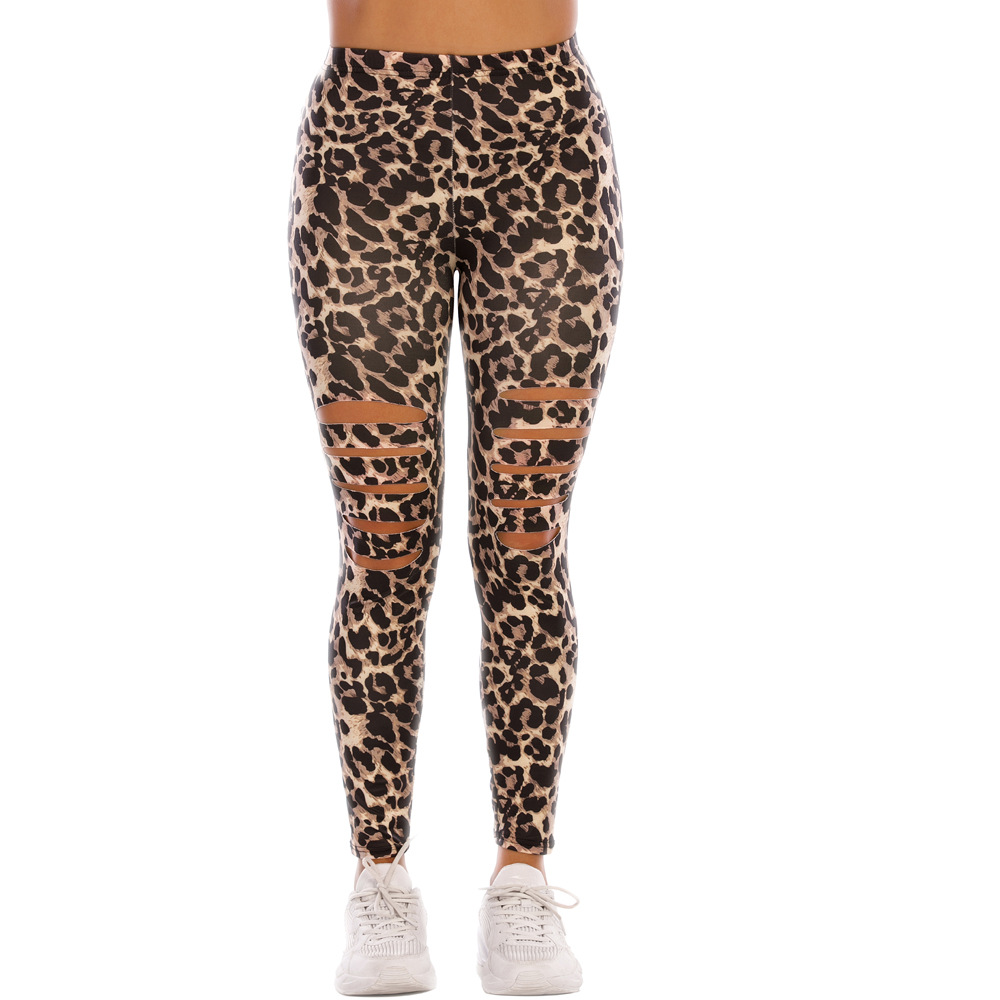 Title 2, Leopards printed tight ripped leggings