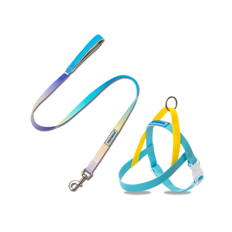 Blue Leash set