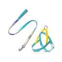 Blue Leash Set