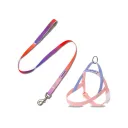 Pink Leash Set