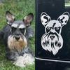 Custom Pet Car Decal Sticker 3