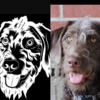 Custom Pet Car Decal Sticker 2