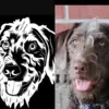 Custom Pet Car Decal Sticker