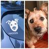 Custom Pet Car Decal Sticker 6