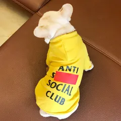 Spring and Autumn Alphabet Dog Sweatshirt - Yellow - View 1