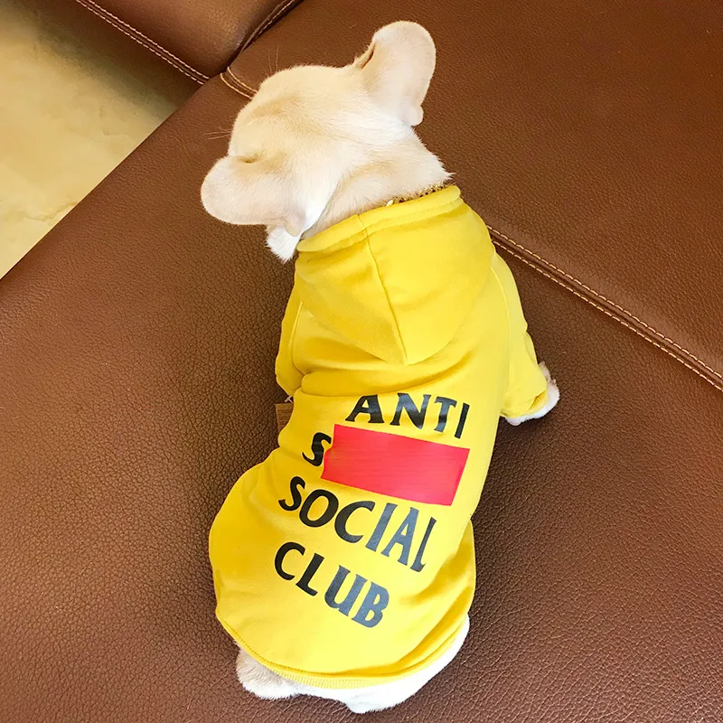Spring and Autumn Alphabet Dog Sweatshirt - Yellow