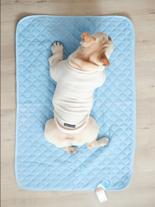 Pet dog ice silk pad