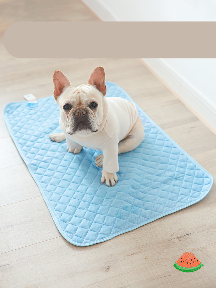Pet dog ice silk pad