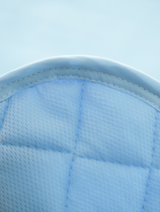 Pet dog ice silk pad