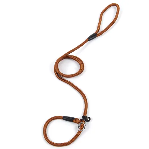 Dog leash pet