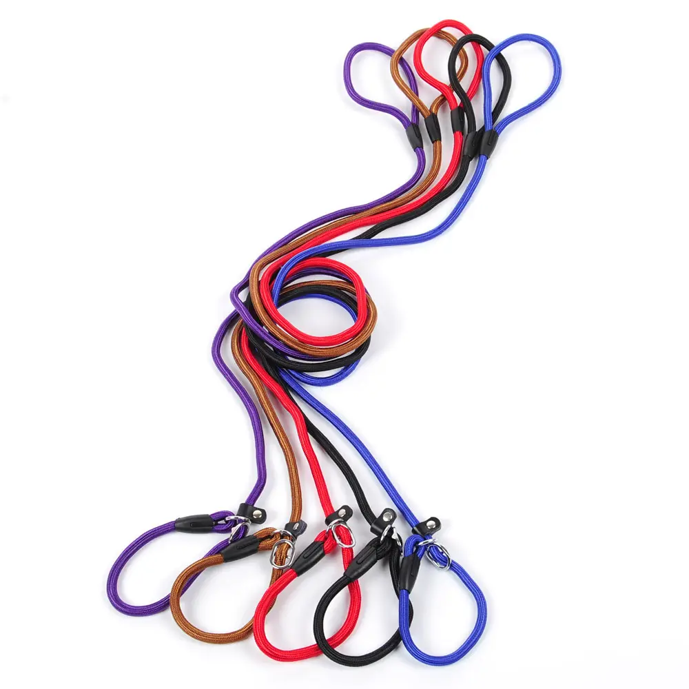 Dog leash pet