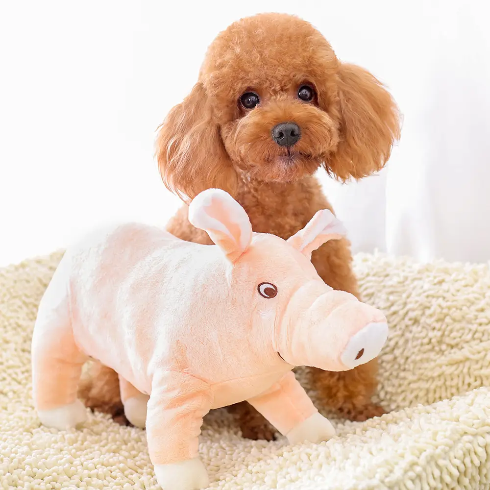 Pet vent molar teeth bite resistant pig toy