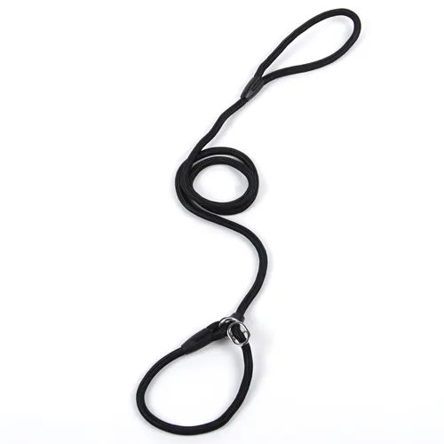 Dog leash pet