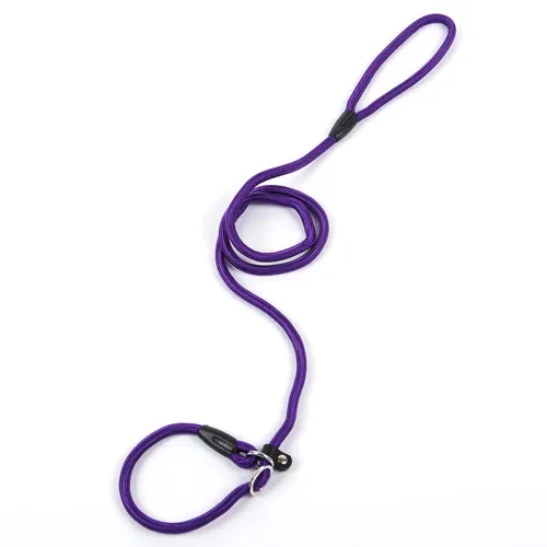 Dog leash pet