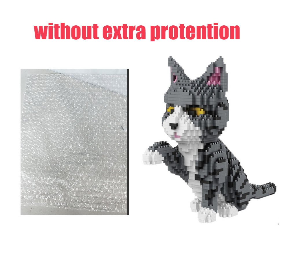 No Extra Protectio cat