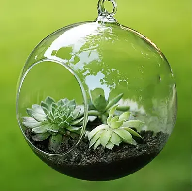 Hanging Transparent Glass Vase Container