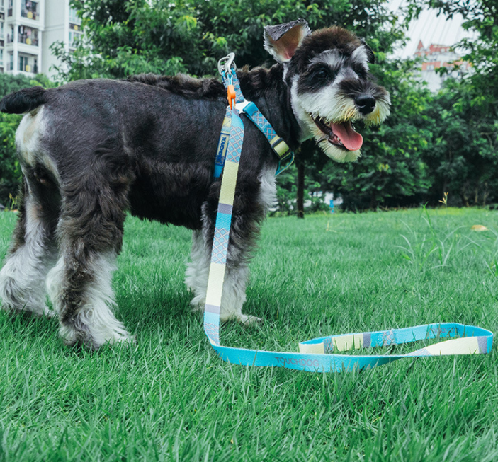 เชือกรัดอกสุนัข Touch Dog สายจูงกันความร้อน พิมพ์ลายสวย เดินเล่นสุนัข สายจูงกลางแจ้ง คุณภาพเยี่ยม
