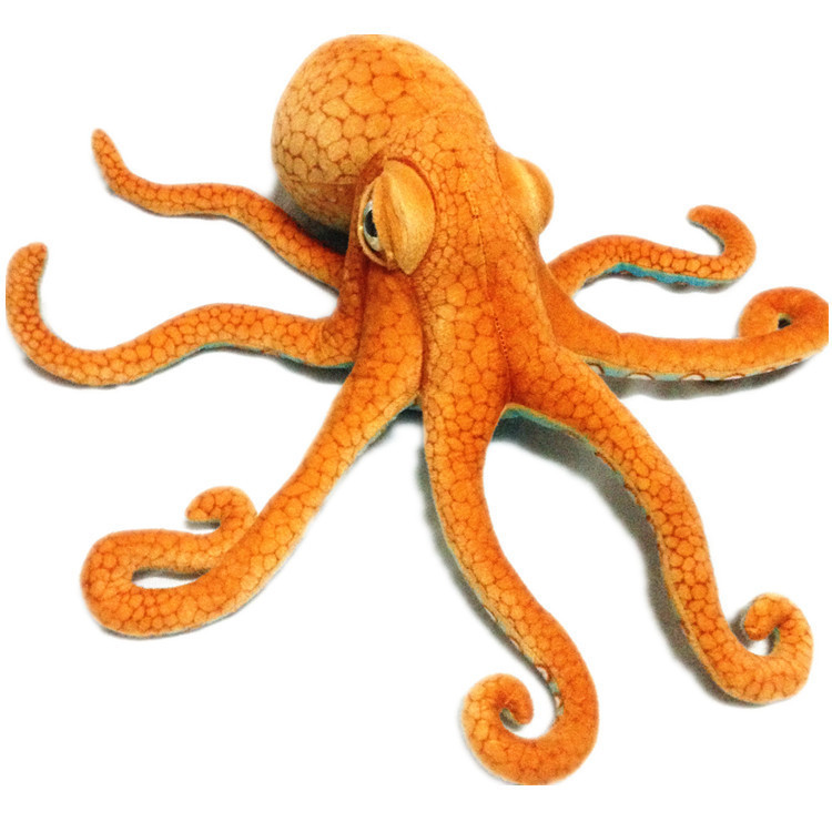 Octopus