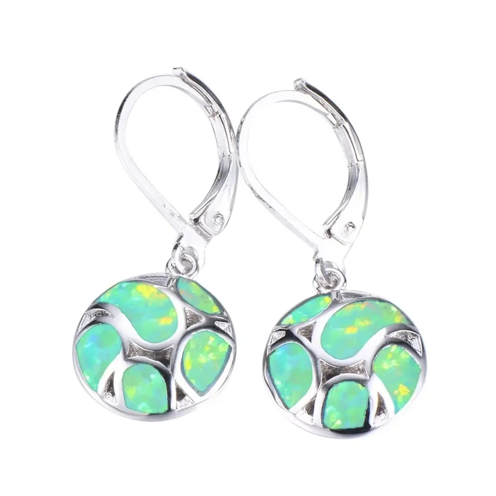 Exquisite earrings