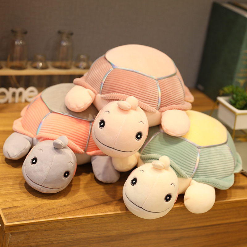 Little turtle plush toy