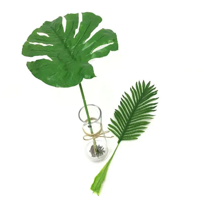 Simulation Turtle Leaf Sunflower