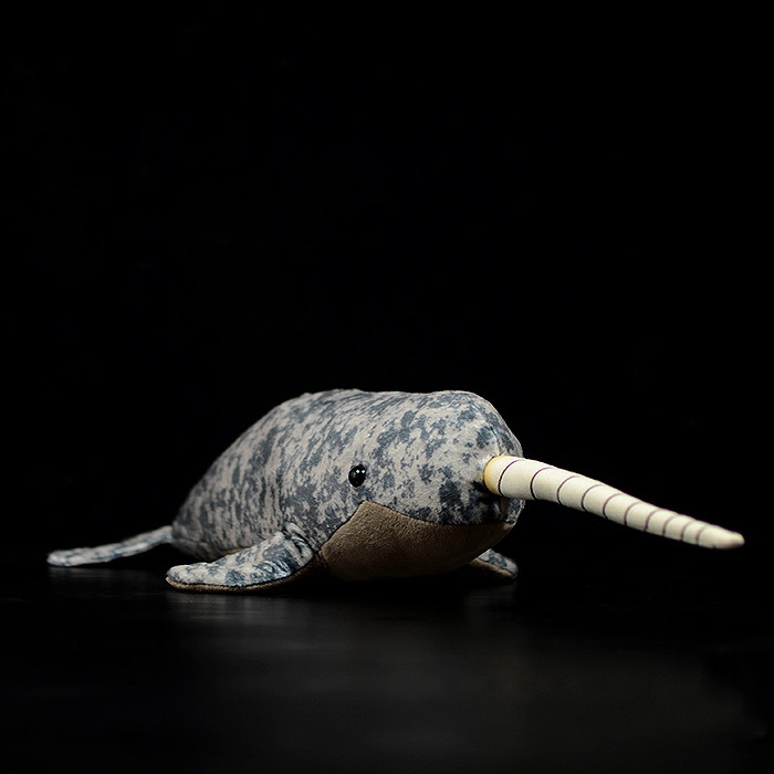 Narwhal