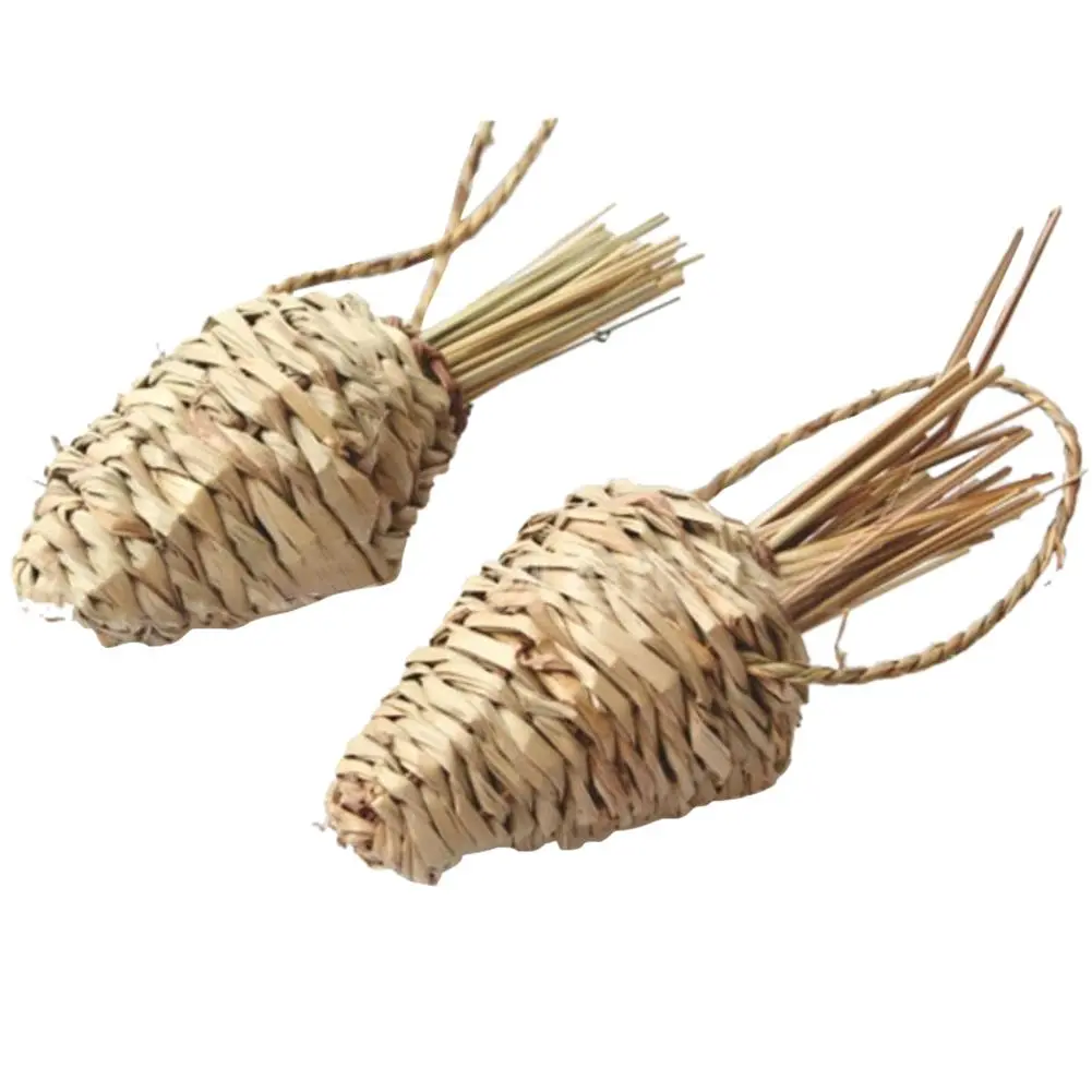 Pet grass molars - Molars