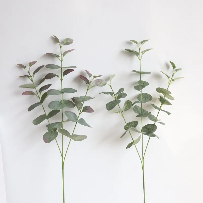 Money Leaf Simulation Flower