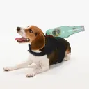 Wine Bottle