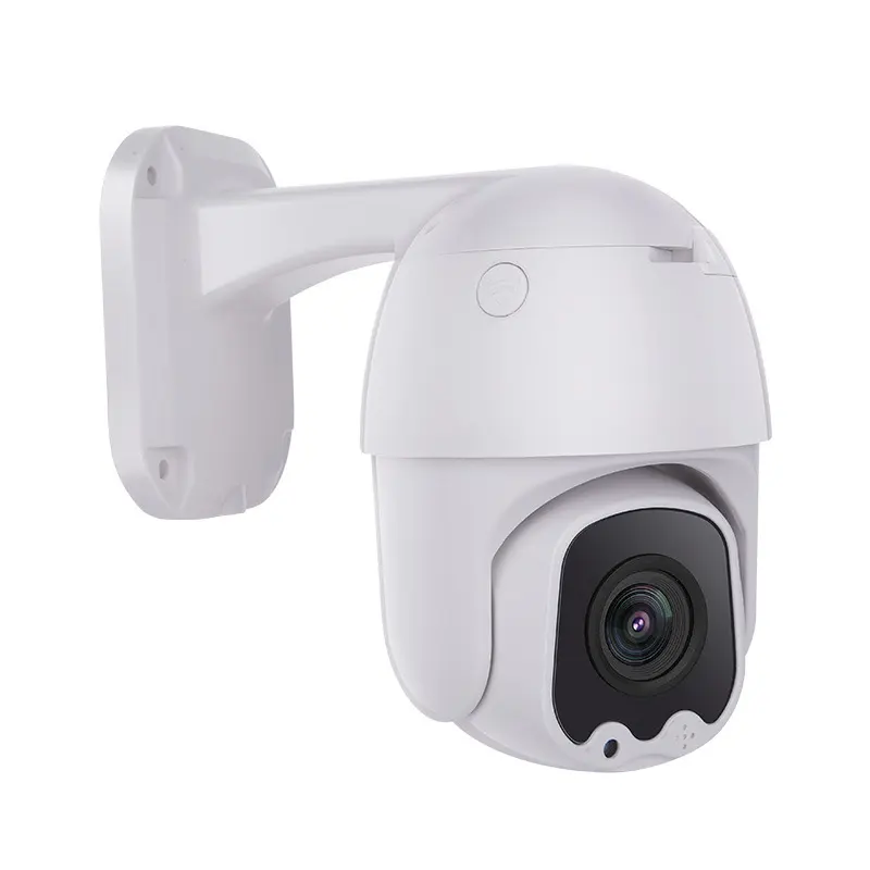 Surveillance Cameras