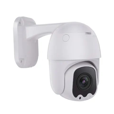 Surveillance Cameras