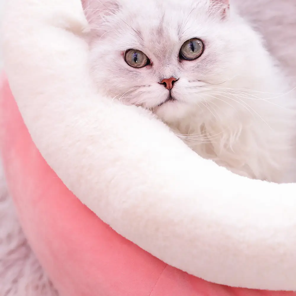 Winter cat litter