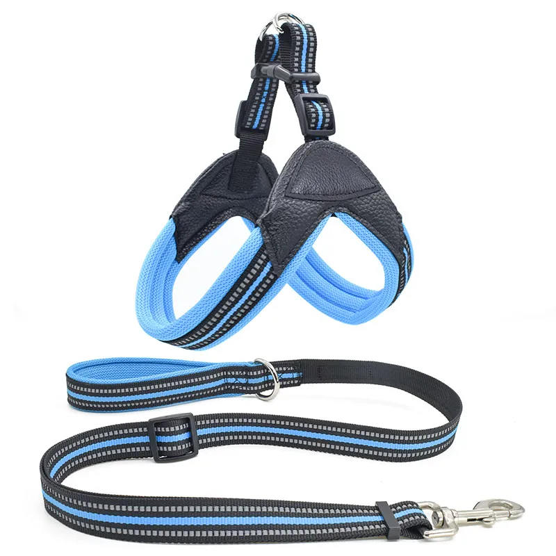 Pet chest harness traction rope set - Blue