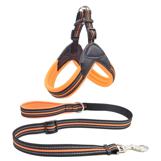 Pet chest harness traction rope set Orange - Shop at LoveMi