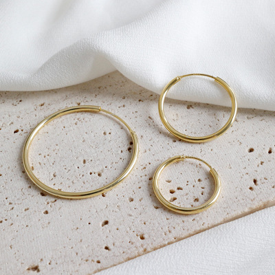 Circle ring earrings