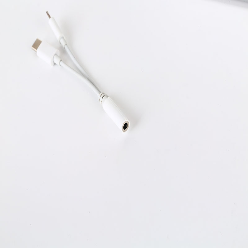 type-c one to two audio cable