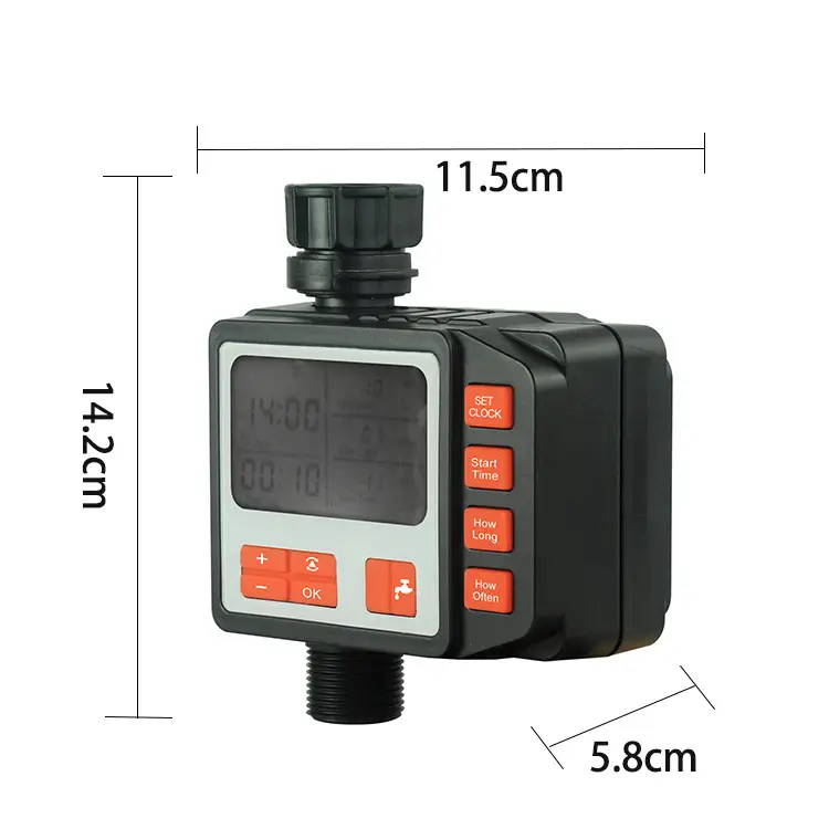 Timed watering device
