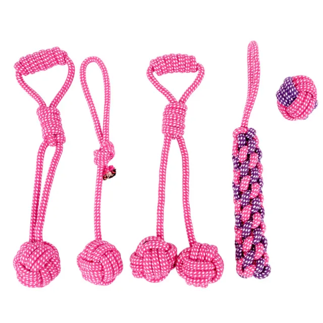 Teddy golden dog toy Pink - Shop at LoveMi