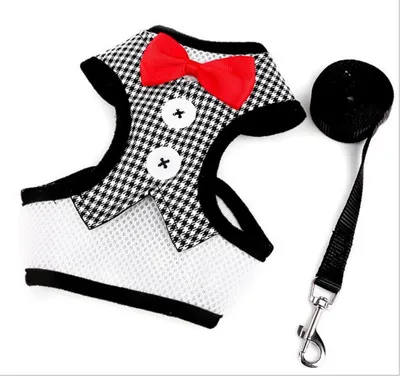 Bow evening dress pet strap Black Plaid - Shop at LoveMi