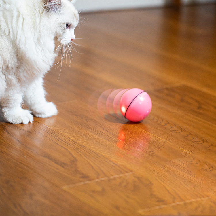USB laser funny cat toy — foto 7
