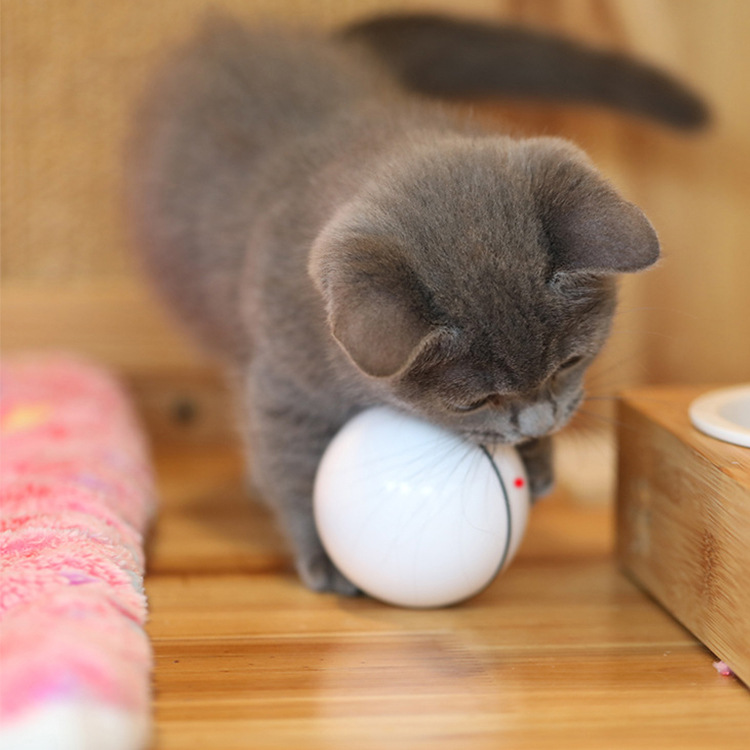 USB laser funny cat toy — foto 3