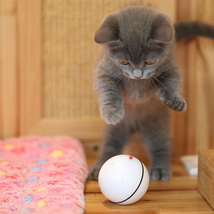 USB laser funny cat toy — foto 6