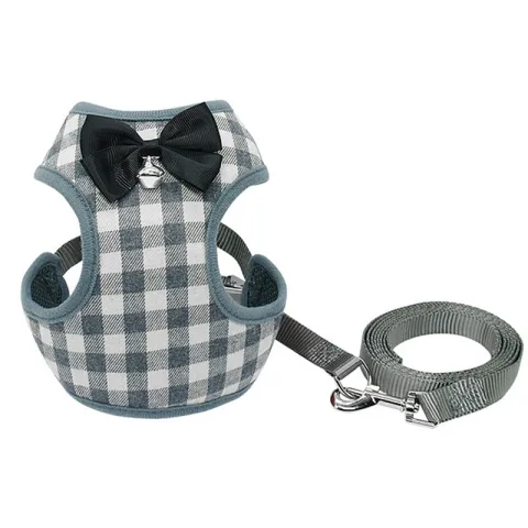 Dog Leash