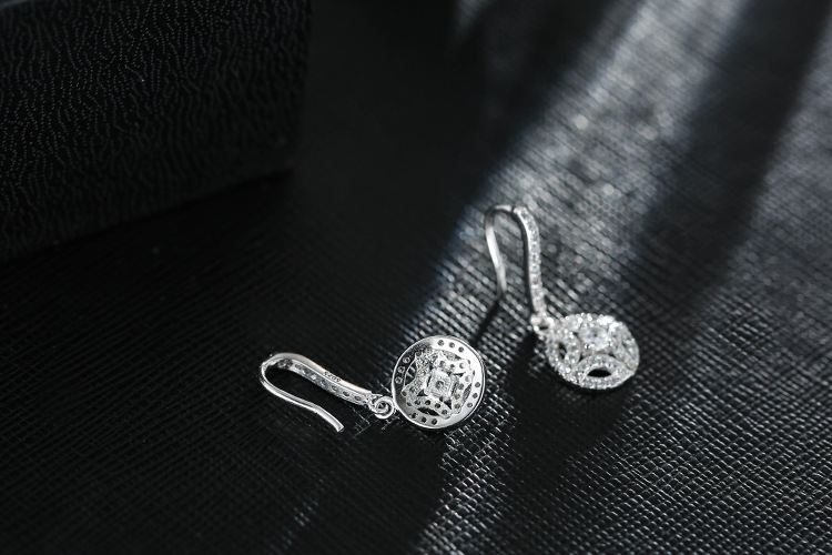 Round zircon earrings