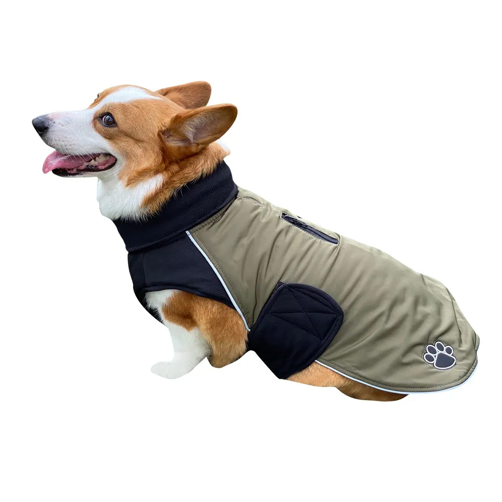 Knitted reversible pet clothes - Green