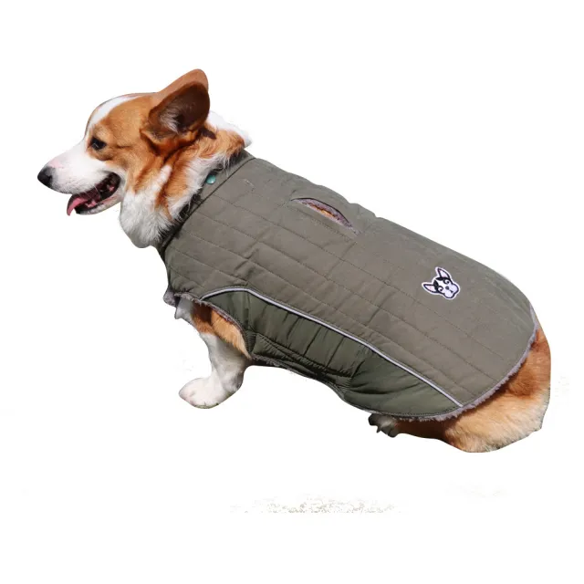 Removable Ca P To Thicken Pet Clothes Green - Shop at LoveMi