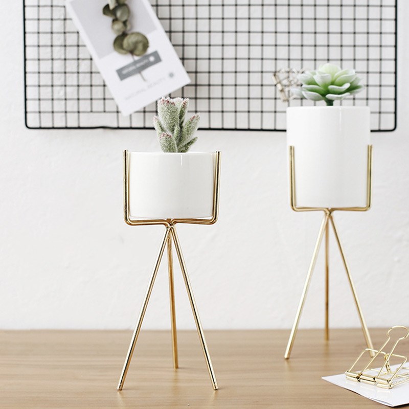 Succulent plant pot (Black-20cm)
