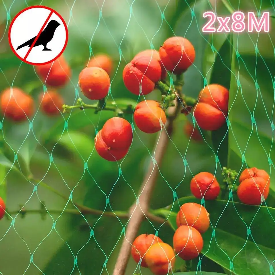 Durable Green Garden Bird Net Plastic Net